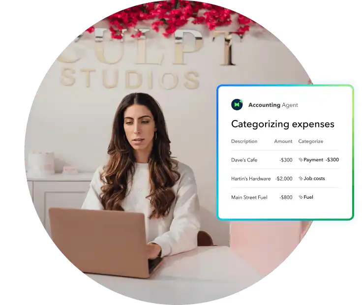QuickBooks accounting agent helping business owner categorize expenses accurately.